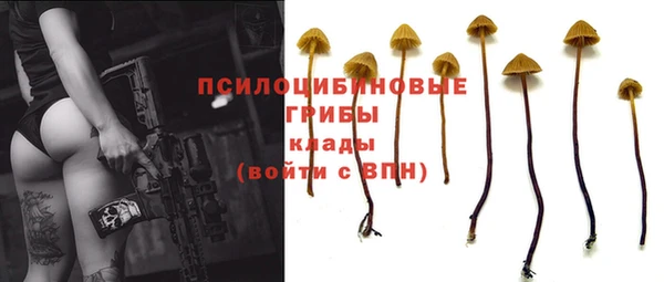 дживик Арсеньев