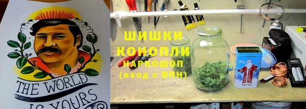 дживик Арсеньев