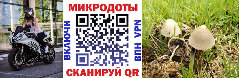 Галлюциногенные грибы Cubensis Ленск